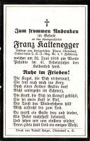 Kaltenegger Franz